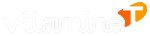 Groupe Vitamine T